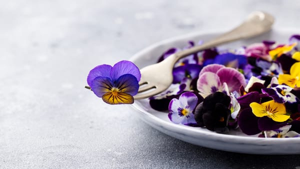 De Flores a Alimentos: Innovación con Ultrasonido en la Industria Gastronómica